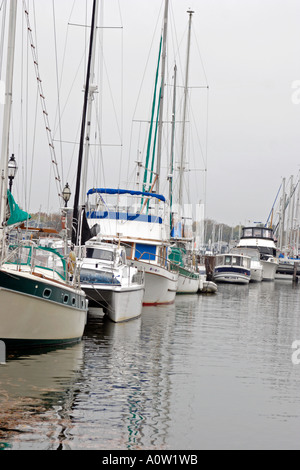 Segelboote vor Anker auf dem Dock in Annapolis, MD Stockfoto