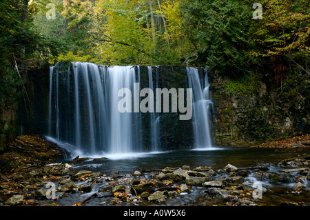 Hoggs fällt am Boyne-Fluss Niagara Escarpment Ontario im Herbst Stockfoto