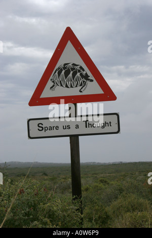 Warnschild Schildkröte kreuzenden Straße-Cape Town-Südafrika Stockfoto