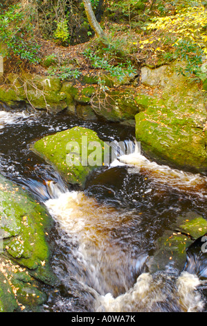 Bushkill Falls, Pennsylvania, USA Stockfoto