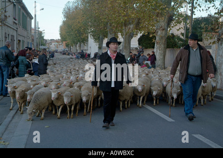 Provence Istres Schäfer im provenzalischen Tracht während einer Parade vor Weihnachten Stockfoto