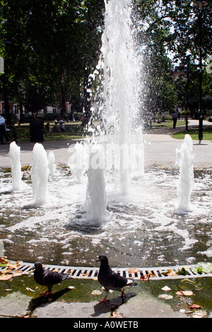 Tauben am Brunnen in Russell Square, London Stockfoto