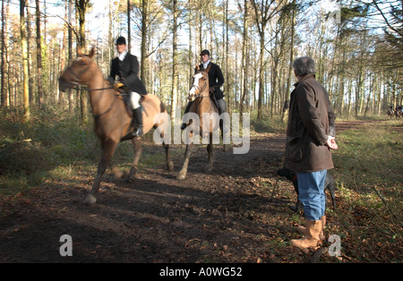 Ein Zuschauer Uhren als Mitfahrer Vergangenheit während einer Fuchsjagd in West Sussex, UK galoppieren. Stockfoto