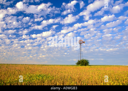 Windmühle in einem Soja-Feld mit Cumulus Wolkenformationen in Zentral-Illinois Stockfoto