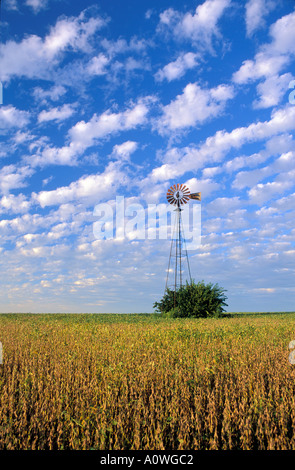 Windmühle in einem Soja-Feld mit Cumulus Wolkenformationen in Zentral-Illinois Stockfoto