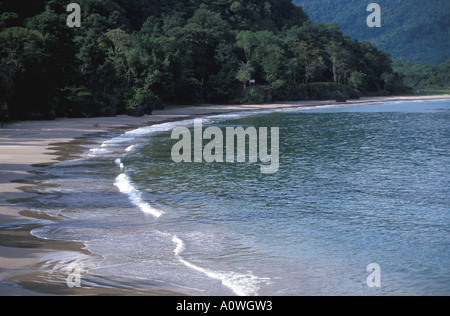 Tropen Ehepaar allein am Strand Stockfoto
