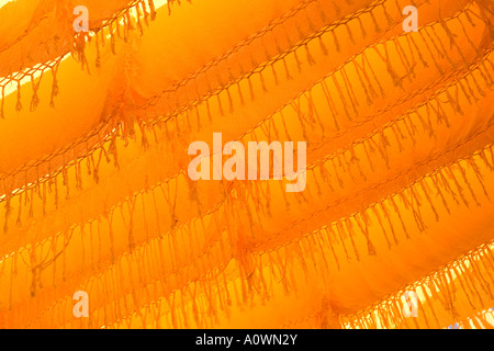 Gefärbte Gewebe trocknen bei der Färber-Souk in Marrakesch, Marokko Stockfoto