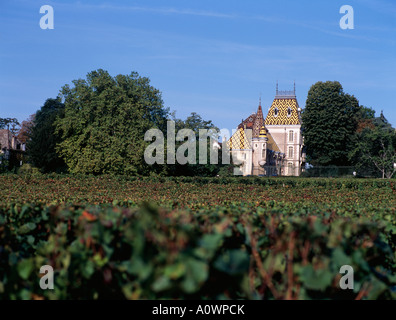 Chateau de Aloxe-Corton Nr Beaune Burgund Frankreich Stockfoto