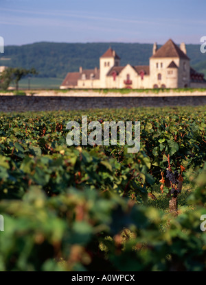 Der Clos de Vougeot Schloss Weinberg Cote d ' or Burgund Frankreich Stockfoto