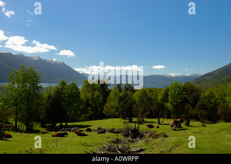 Coutryroads in der Nähe von Pucon südlichen Chile Huerquehue Nationalpark Stockfoto