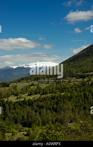 Südlichen Chile Huerquehue National Park, in der Nähe von Pucon, Temuco und Chaburgua. Araucania-Seen-Region Stockfoto