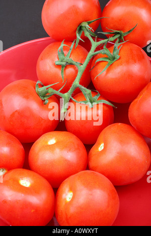 Close Up Gruppe von frischen Reifen gesunden roten Tomaten bereit zu Essen Stockfoto