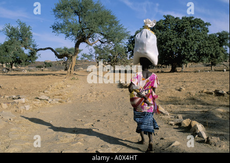 Frau mit Sack auf ihrem Kopf Ogol Dorf Sangha Dogon Gebiet Mali Afrika Stockfoto