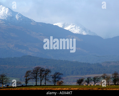SCHNEEBEDECKTE BERGE BEN LOMOND WEITER LINKS VON LANDWIRTSCHAFTLICHEN FLÄCHEN IN DER NÄHE VON FLANDER S MOOS AM RANDE DES QUEEN ELIZABETH NATIONAL Stockfoto