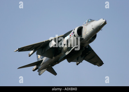RAF Harrier GR7 schweben bei RIAT 2005 RAF Fairford Gloucestershire England UK Stockfoto