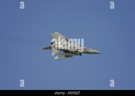 RAF Tornado F3 fliegen im blauen Himmel RIAT2005 RAF Fairford Gloucestershire England UK Stockfoto