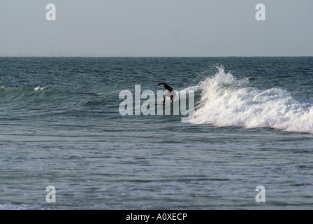 Surfer im Iguape in der Nähe von Fortaleza, Ceará, Brasilien Stockfoto