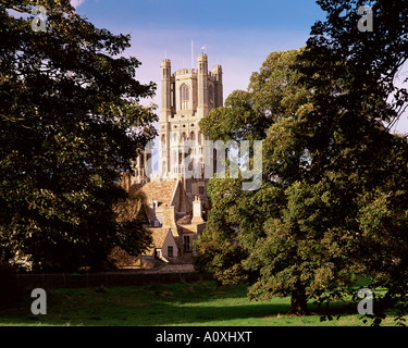 Ely Kathedrale Ely Cambridgeshire England England Europa Stockfoto
