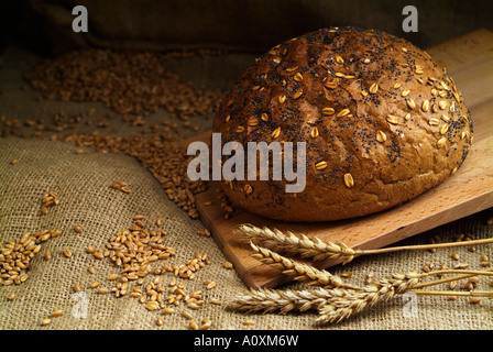 Frisch gebackenes rundes Laib Brot Stockfoto