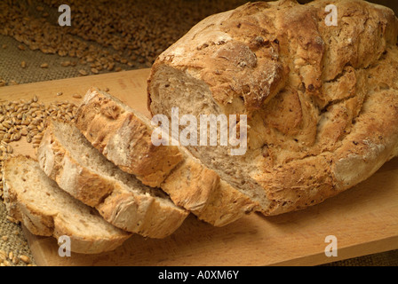 Frisch gebackenes Brot Stockfoto