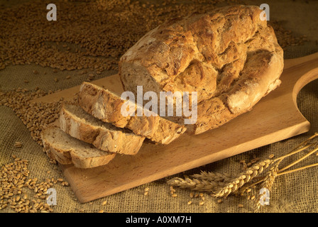 Frisch gebackenes Brot Stockfoto