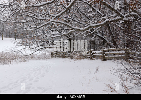 Bruce Trail Spuren im frischen Schnee mit überhängenden Zweigen im Winter Ontario Stockfoto