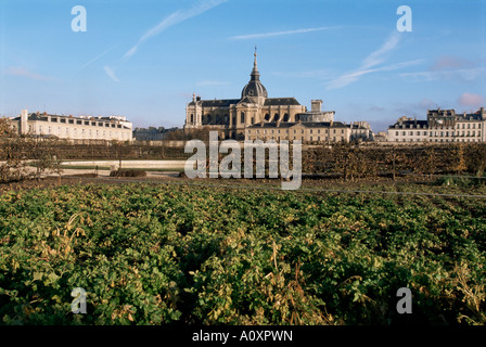 Potager du Roi König s Küchengarten Versailles und St Louis Kirche Ile de France Frankreich Europa Stockfoto