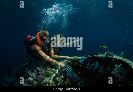 Erhöhte Ansicht von zwei Taucher unter Wasser Stockfoto