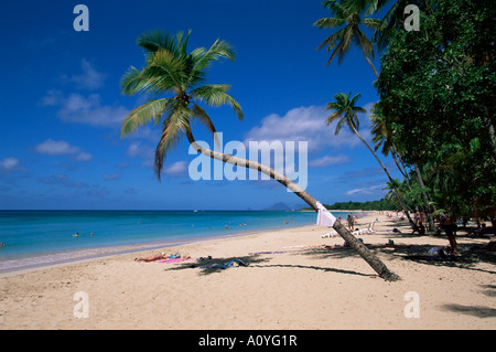 Les Salines Strand in der Nähe von Sainte Anne Martinique kleine Antillen West Indies Karibik Mittelamerika Stockfoto