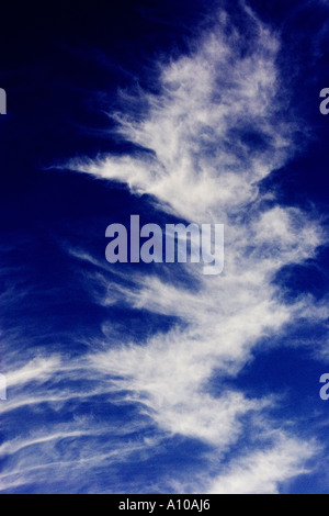Cirruswolken Stockfoto