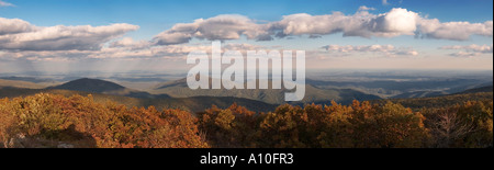 Panorama-Ansicht der Appalachian Berge und Herbstlaub vom höchsten Punkt im Shenandoah National Park, Hawksbill aus gesehen Stockfoto