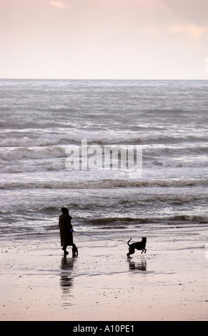 EINE ALTE DAME GEHT IHRE HUNDE AM STRAND VON DER STADT BORTH IN WEST WALES UK Stockfoto