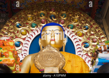 Niedrigen Winkel Ansicht einer Statue des Buddha in einem Tempel, Namgyal Kloster, McLeod Ganj, Dharamsala, Himachal Pradesh, Indien Stockfoto