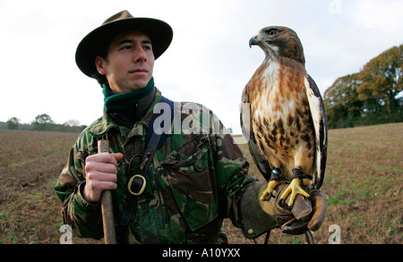 Red tailed Hawk auf der Jagd in der Landschaft von Sussex. Bild von James Boardman 27. November 2005 Stockfoto