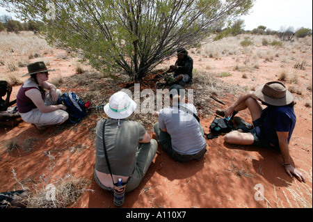 Aborigine-Frau zieht eine Witchetty Grub von der Wurzel des Witchetty Busch, Anangu Pitjantjara Heimat, South Australia Stockfoto