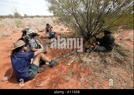 Aborigine-Frau zieht eine Witchetty Grub von der Wurzel des Witchetty Busch, Anangu Pitjantjara Heimat, South Australia Stockfoto