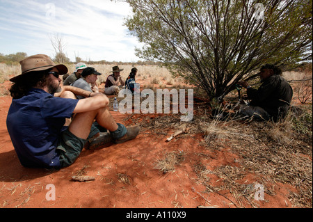 Aborigine-Frau zieht eine Witchetty Grub von der Wurzel des Witchetty Busch, Anangu Pitjantjara Heimat, South Australia Stockfoto