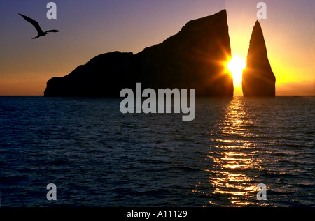 Sonnenaufgang auf den Galapagos Inseln Stockfoto