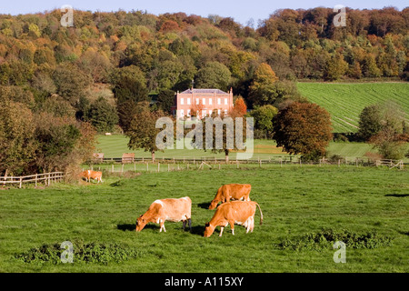 Hambleden Dorf - Thames Valley - Buckinghamshire Stockfoto