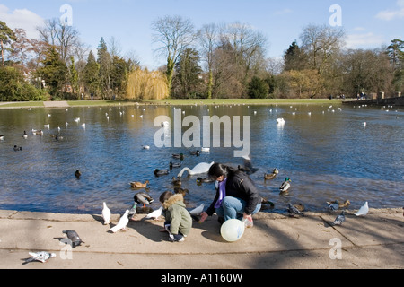 Verulamium Park - St Albans - Hertfordshire Stockfoto