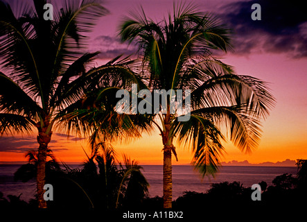 Sonnenuntergang, Palmen, Bäume, Hapuna Bay, Kohala Coast, Hawaii Island, Hawaii, Vereinigte Staaten Stockfoto