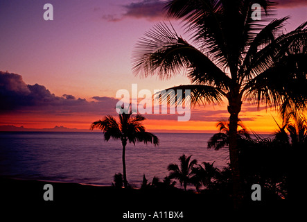 Sonnenuntergang, Palmen, Bäume, Hapuna Bay, Kohala Coast, Hawaii Island, Hawaii, Vereinigte Staaten Stockfoto