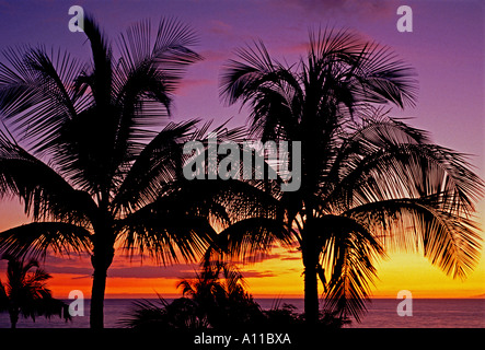 Sonnenuntergang, Palmen, Bäume, Hapuna Bay, Kohala Coast, Hawaii Island, Hawaii, Vereinigte Staaten Stockfoto