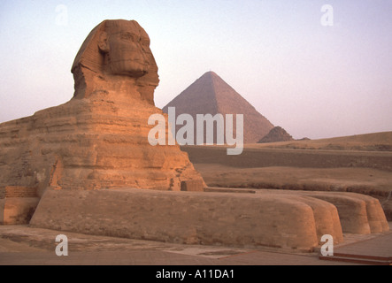 Sphinx Ägypten Gizeh morgendliche Aussicht mit Pyramide Cheops Khufu im Hintergrund zeigt Pfoten und Beine Stockfoto