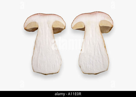 Ein Cep "aus Bordeaux" (Boletus Edulis) in zwei Hälften geteilt und im Studio fotografiert. Cèpe de Bordeaux Coupé En Deux (Frankreich). Stockfoto