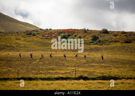 Eine einzelne Datei von Wanderer (Puy de Dôme - Frankreich). Randonneurs Se Suivant de Datei Indienne (Puy-de-Dôme 63 - Frankreich). Stockfoto