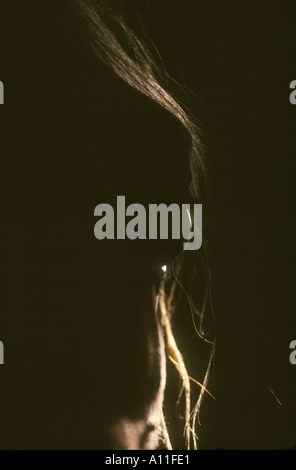 Close up Portrait of Arabian Horse eye Stockfoto