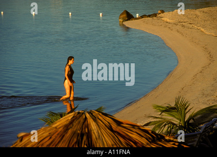 Touristischen weibliche Frau Badende Schwimmer schwimmen Badestrand entlang der Baie Nettle Saint Martin French West Indies Stockfoto