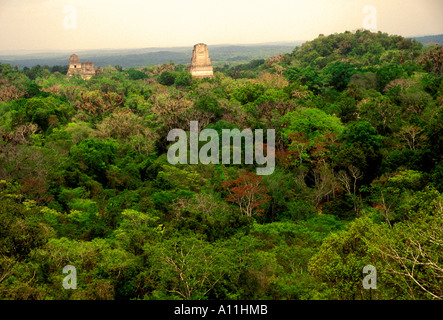 Tempel, Dschungel, Dschungel Baldachin, Tikal, Tikal National Park, El Petén, El Petén Abteilung, Guatemala Stockfoto