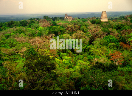 Tempel, Dschungel, Dschungel Baldachin, Tikal, Tikal National Park, El Petén, El Petén Abteilung, Guatemala Stockfoto